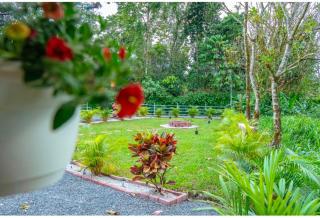 Cabañas en medio del bosque rodeada de fauna - 9