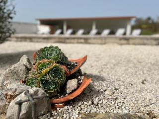 VillaVie CostadePrata - 1