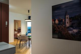 Cozy Bear Apartments with view and parking - 4