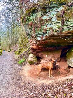 Ferienhaus EIFELZEIT am See - 4