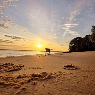 Pousada O Povorello - a 1 minuto a pé da Praia Grande da Baía do Sol - 9