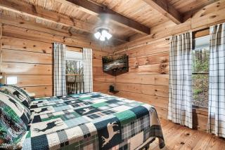 Hot Tub and Dog Friendly 4 Miles to Cades Cove - Townsend - 7