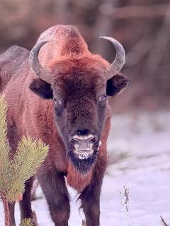 Apartament Studnica 39 - 2