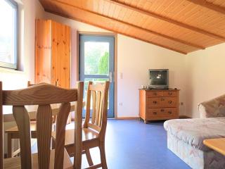 Holiday farm situated next to the Kellerwald-Edersee national park with a sunbathing lawn - 2