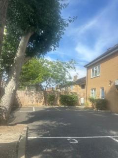 Ernest court - 1