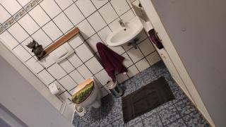 Ferienwohnung Waldrandlage zum Voithenberg - 2