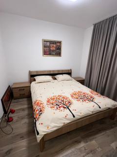 Simikic Apartment - 5