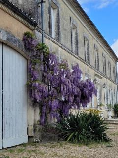 Domaine de charme pour groupes et evenement - 6
