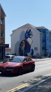 Perfect Location in Waterford - 3