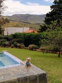 Domo Pajcha, Samaipata Glamping - 4