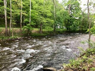 Country House on the Callicoon Creek - 2