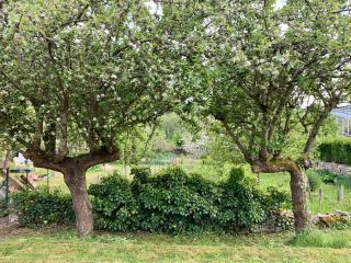 Gîte Maison Roy - 6
