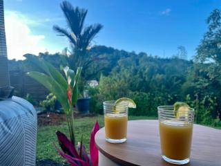 Pandora - T2 immersif, jardin & jacuzzi - 4