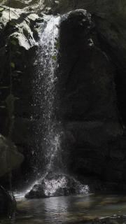 Parque Indigo Nature Lodge - 3