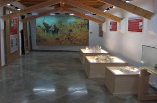 Casas Cueva el Mirador de Orce - 6