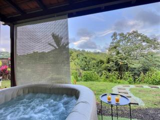 Pandora - T2 immersif, jardin & jacuzzi - 1