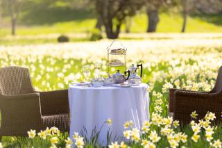 Holme Station Homestead - 7