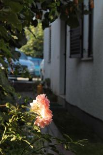 Apartments with parking space Porec - 7137 - 4