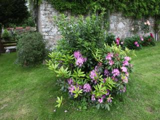 Saint-Sauveur Hideaway - 5