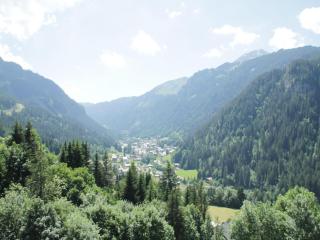 Apartment in Châtel near Lac de Vonnes - 1