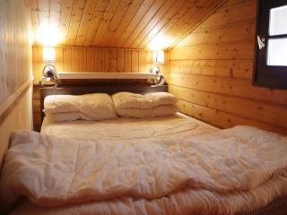 Apartment in Châtel near Lac de Vonnes - 4