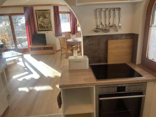 Apartment near Ski Area in Schladming - 1