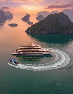 Halora Nova Cruise - 0