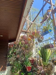 Bhopal Stay Nehru nagar - 4