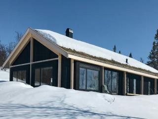 Modern Wooden Cabin Where Nature Can Be Felt - 0