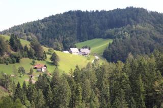 Apartments Peternelj - 5