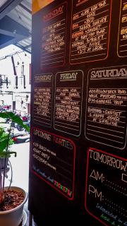 The Funky Turtle - 7