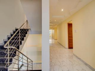 Collection O Golden Era - 5