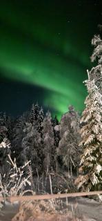 BigNorthernLights - 2