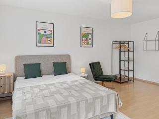Terrific Studio in the City Centre - Art 2 - Zürich - 8