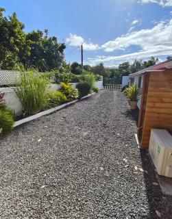 L'Oiseau du Paradis - 1