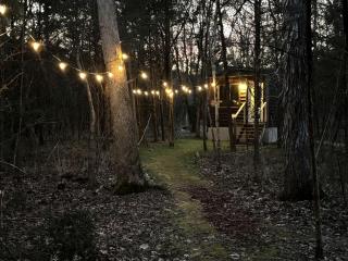 Peaceful Tiny Cabin Escape with Loft, Private Trail & Forest Views in Columbia, Tennessee - 6