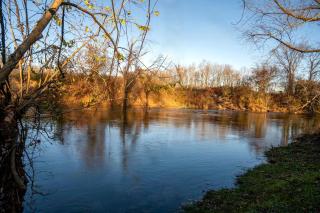 Serene Teepee Escape with Soulful Ambiance in Salt Lick, Kentucky - 4