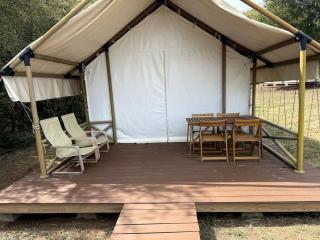 Peaceful Glamping Tent with Fire Pit & BBQ Grill Near Lake Texoma, Denison, Texas - 7