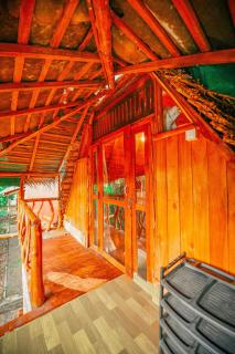 Lizard Safari Lodge - 6