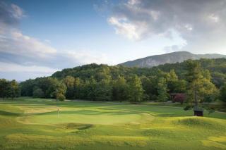 Wyndham Resort at Fairfield Mountains - 9