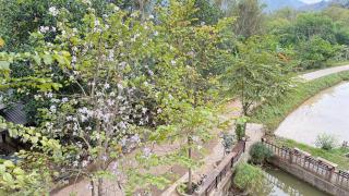 La Mai Chau Home - 6