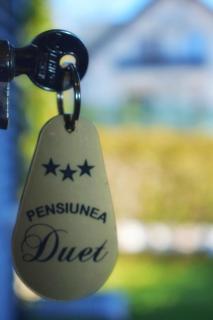 Pensiunea Duet - 1