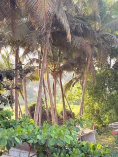 SHIVA LEELA cottage - 5