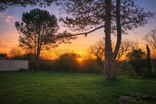 Maison Individuelle Piscine & Jardin - 1