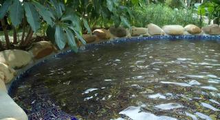 Hawana Resort Guangzhou - 2