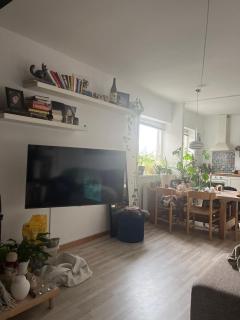 Cozy apartment with great access - 1