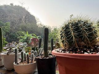 Villa in the middle of nature - 6