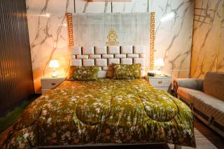 Mertas Villa - Rawalpindi - 9