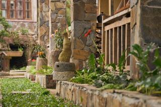 The MD Ba Vi Retreat - 3