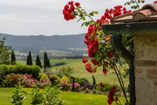 La Pieve di San Martino Melograno & Fiordaliso Apartments - 2